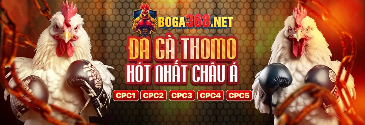 Đấu trường đá gà trực tuyến az688 link mới 2026